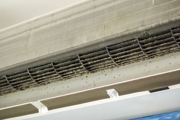 Best Dryer Vent Cleaning in Kendallville, IN